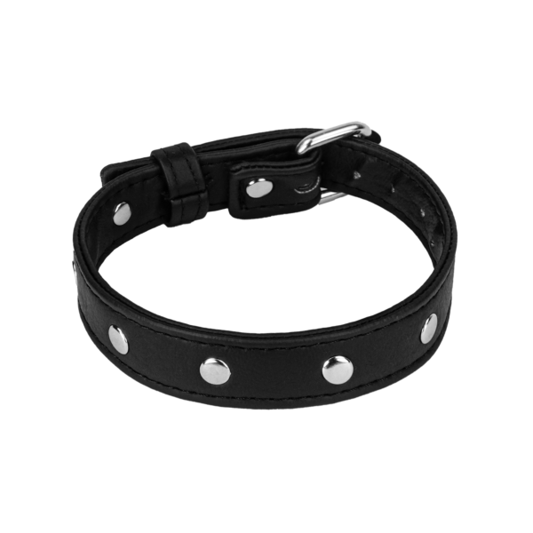 Studded Buckle Arm Band