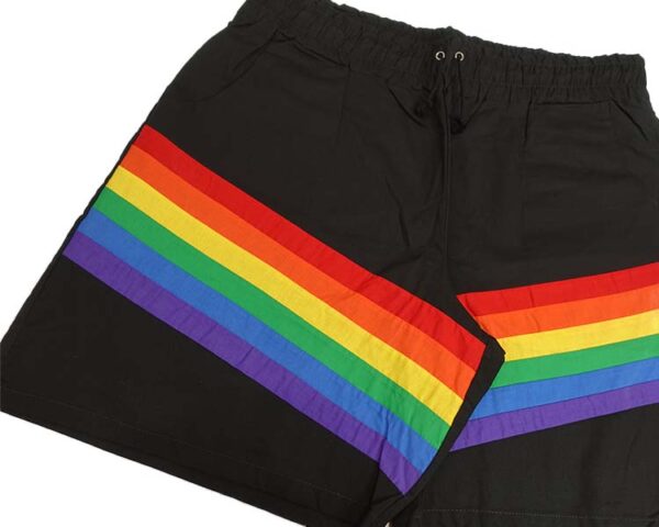 Pride Flag Shorts - Image 5