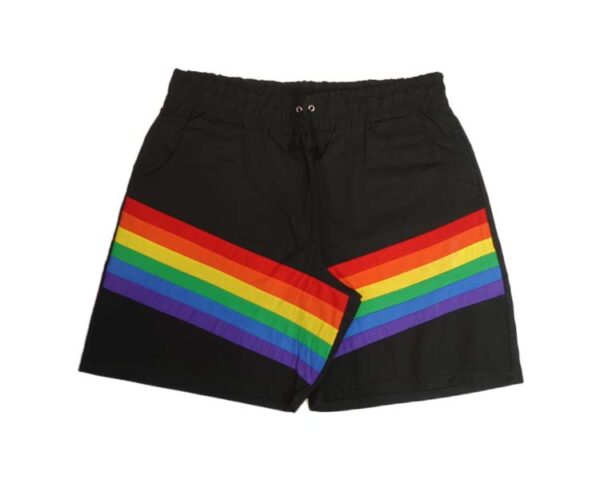 Pride Flag Shorts - Image 2